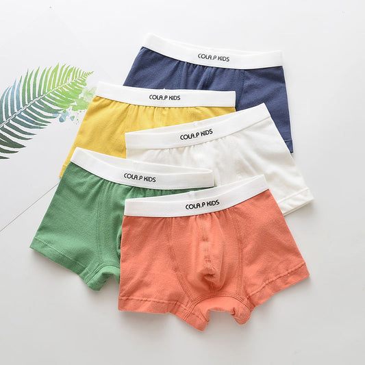 Lot de 5 Boxers en Coton pour Enfant